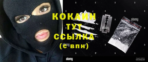 ГАЛЛЮЦИНОГЕННЫЕ ГРИБЫ Новозыбков