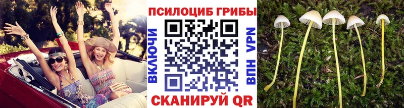 Галлюциногенные грибы Magic Shrooms  цена наркотик  Армянск 